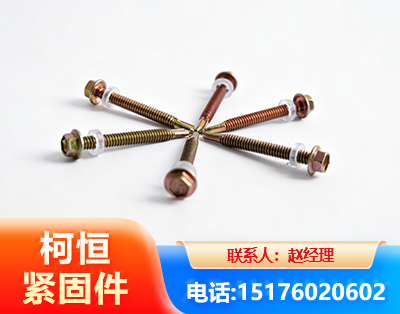 秦皇岛六角钻尾丝